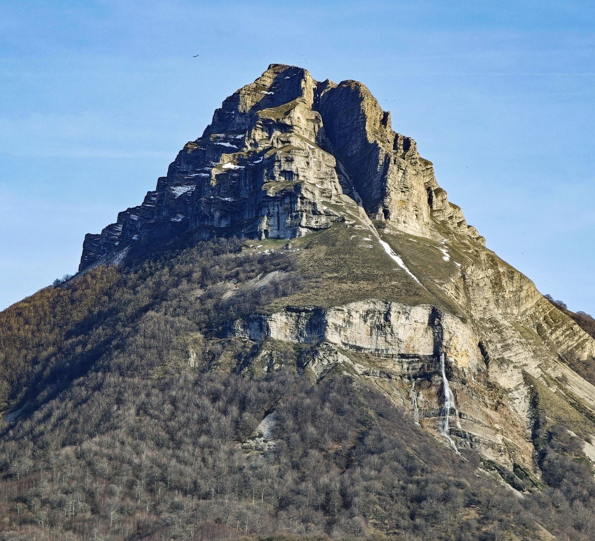 Rob Ocáriz tweet media