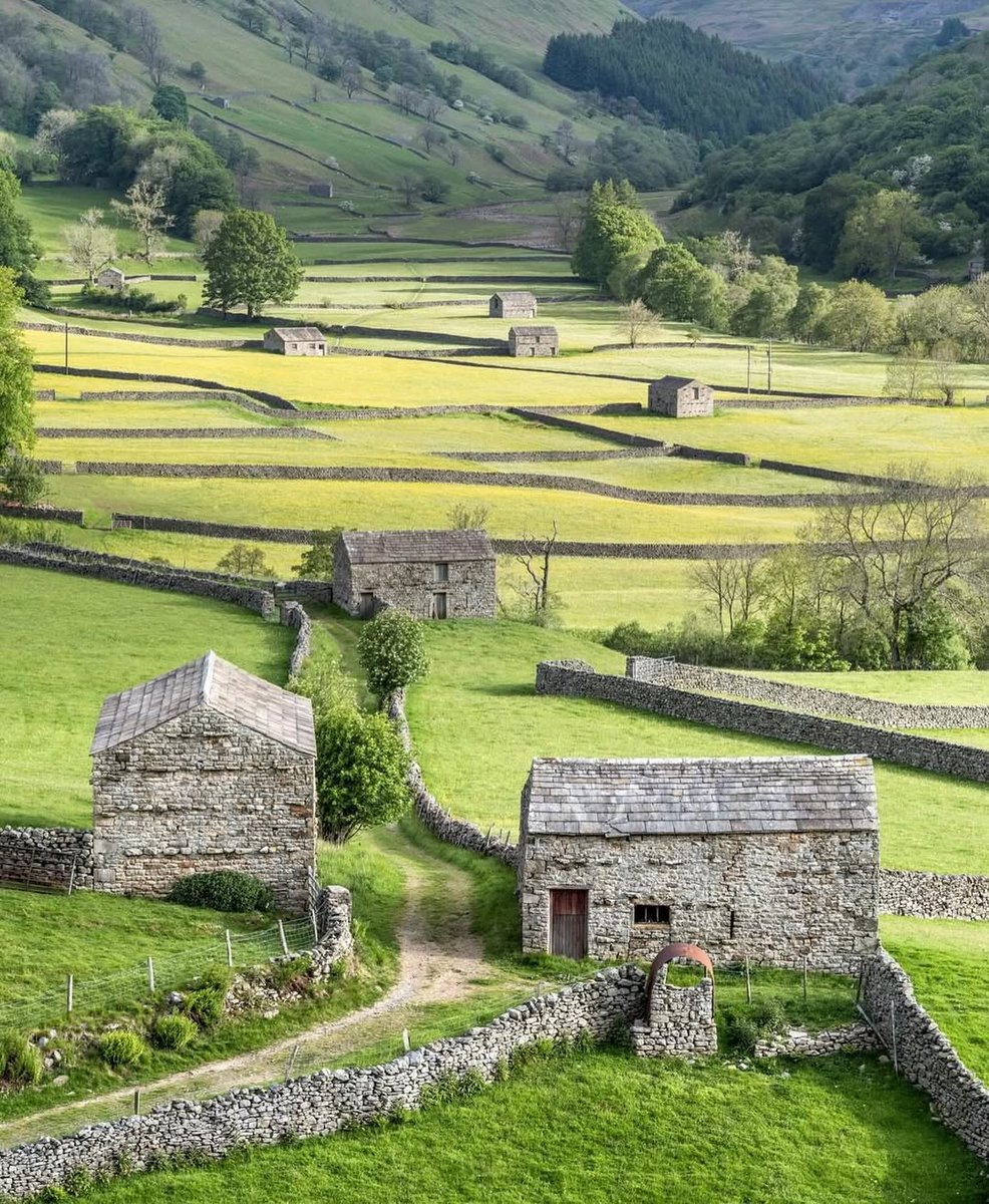 North Yorkshire tweet media