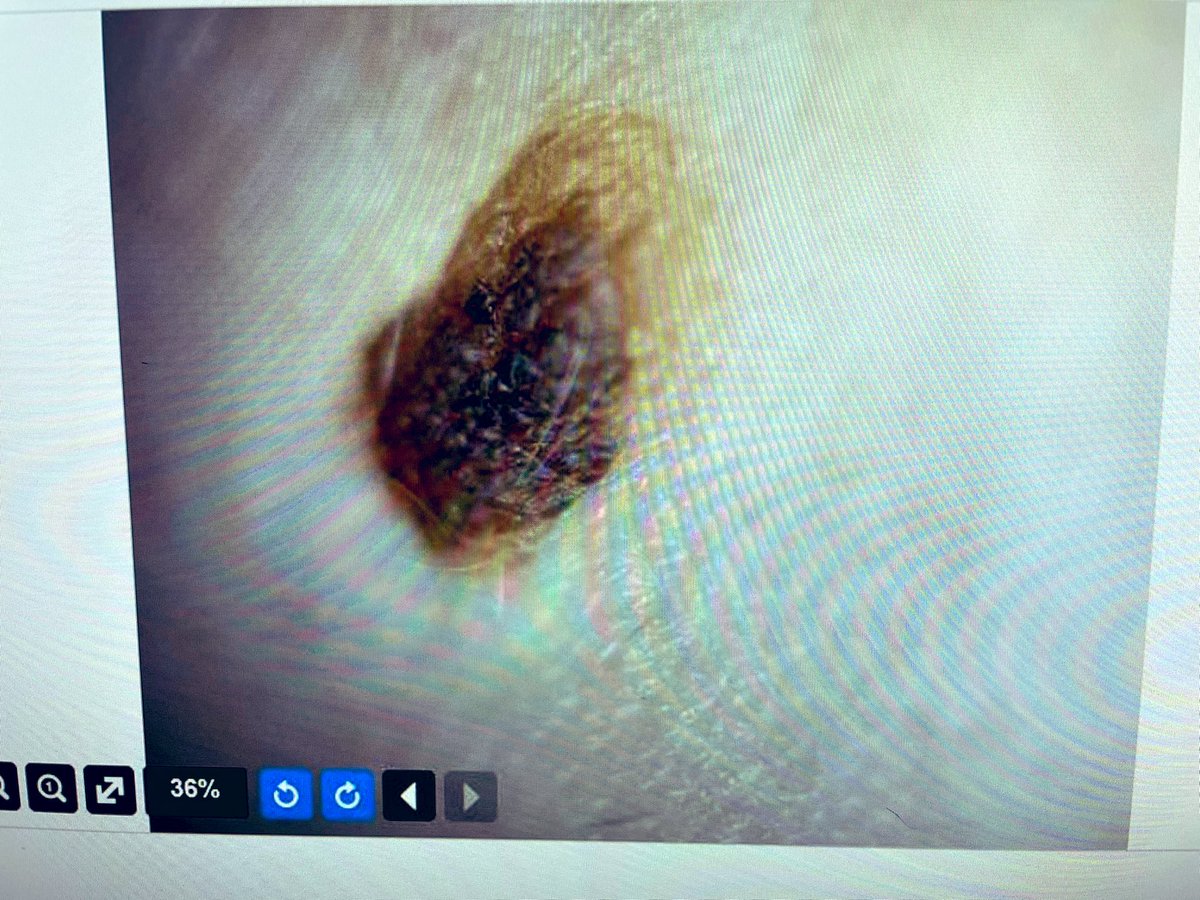 OmarPediatríay+ tweet media