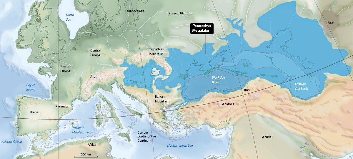 Vivid Maps tweet media