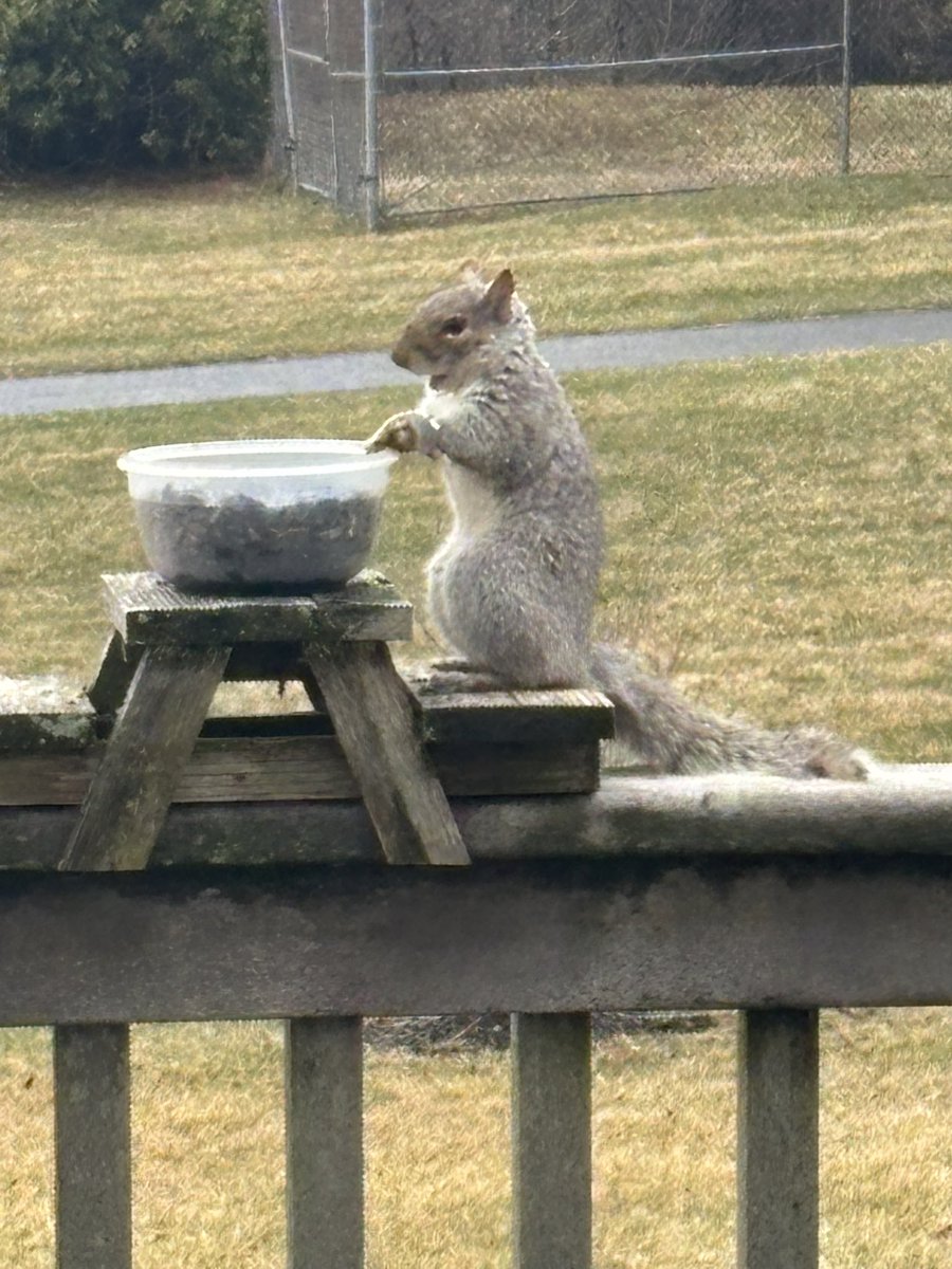 Michael Hartranft tweet media