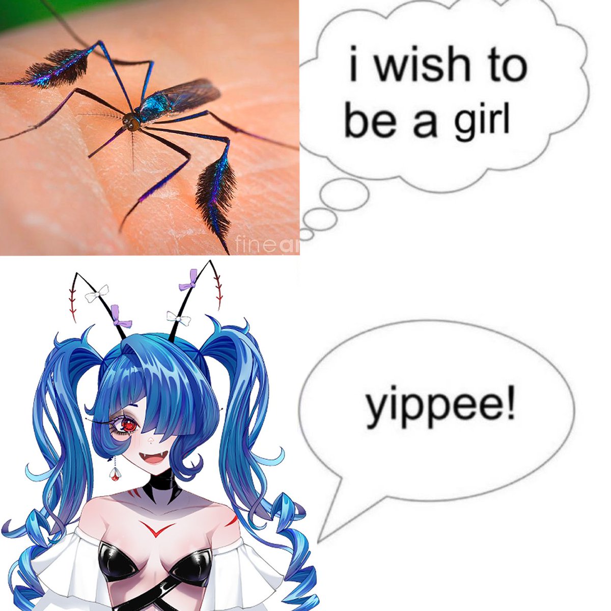 Levana 🦟💕Mosquito Vtuber 🦟💕 tweet media