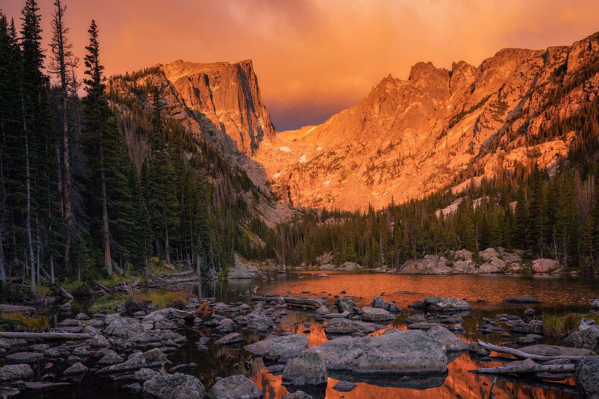 Alice VL tweet media