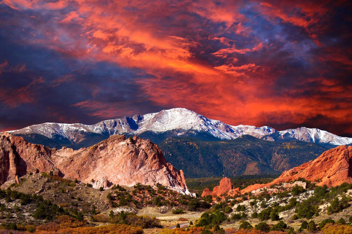 Alice VL tweet media