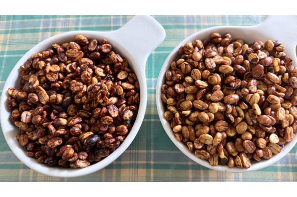 レッドハニーとイエローハニー。

色の違いだけではありません。 
粘液質の残存量と乾燥スピードが違う

写真では伝わらない。 
カップでも確かめてほしい☕️🌱