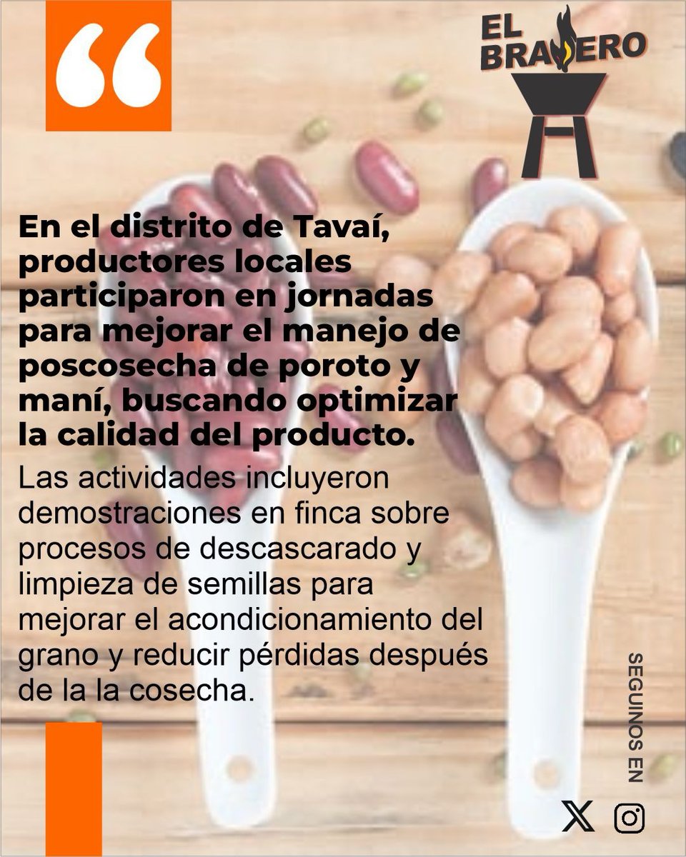 ElBraseroPy tweet media