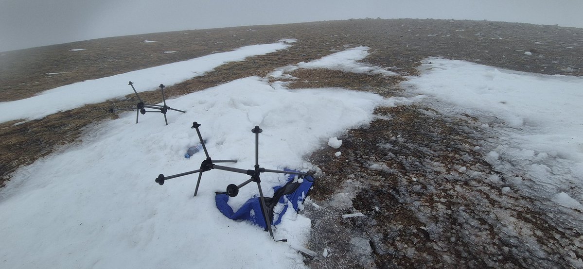 Fell Top Assessors tweet media