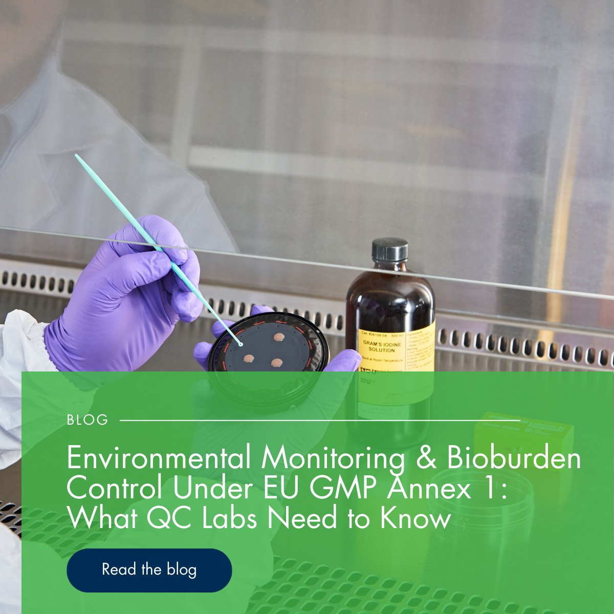 Staying compliant with EU GMP Annex 1 demands a strong approach to #EnvironmentalMonitoring and #BioburdenControl.
Our latest guide highlights key expectations and practical insights for QC labs.
👉 bit.ly/40qwMPn

#Annex1 #QCmicrobiology #PharmaQuality