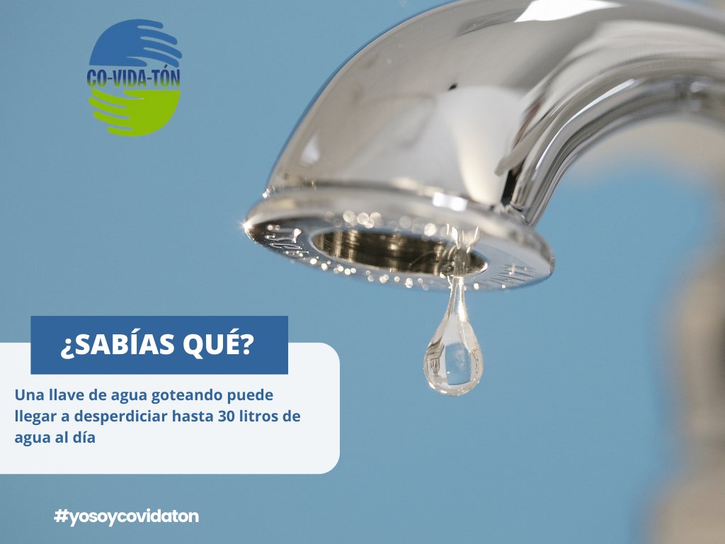 CO-VIDA-TON tweet media