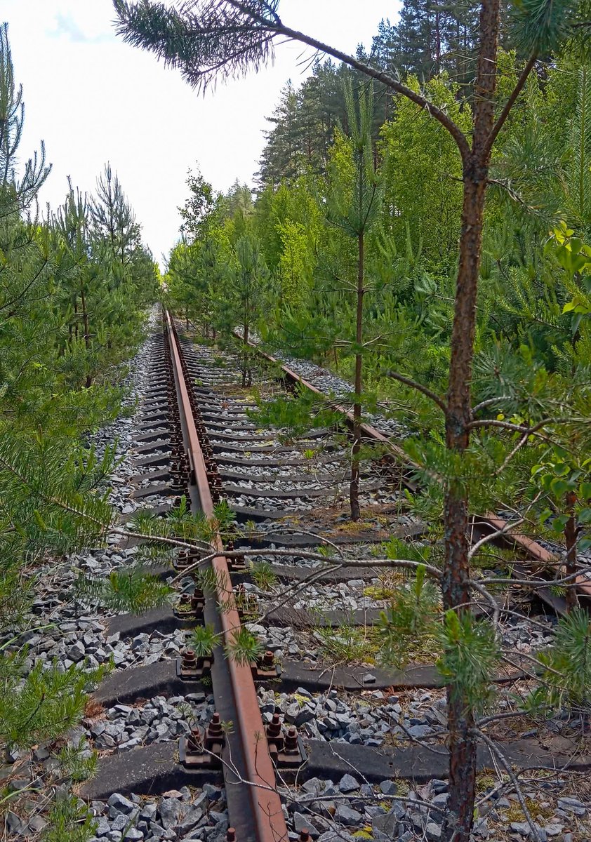 pavelsh 🇱🇻 tweet media