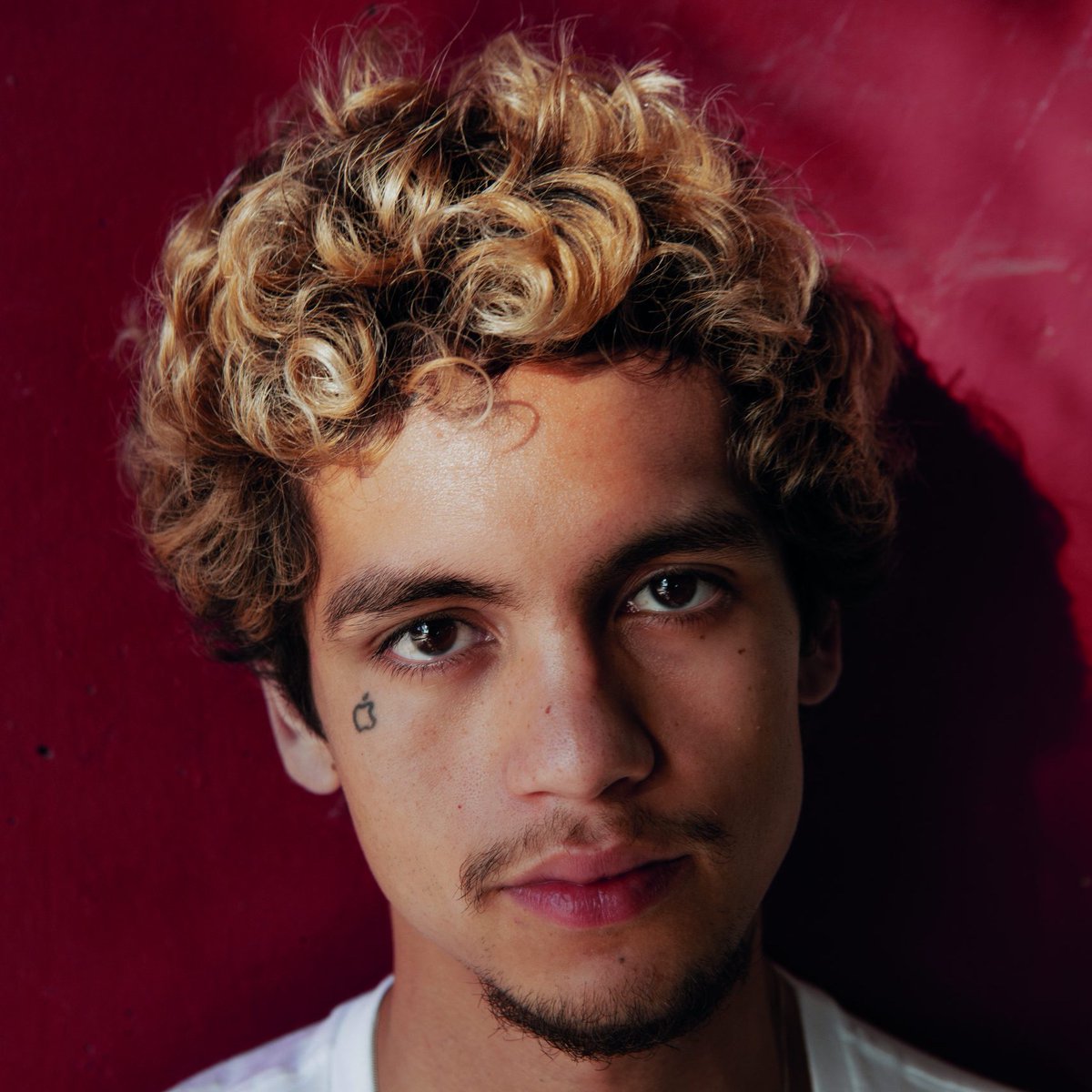 chart data tweet media