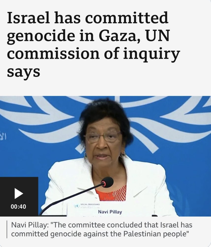 Peter Andrews tweet media