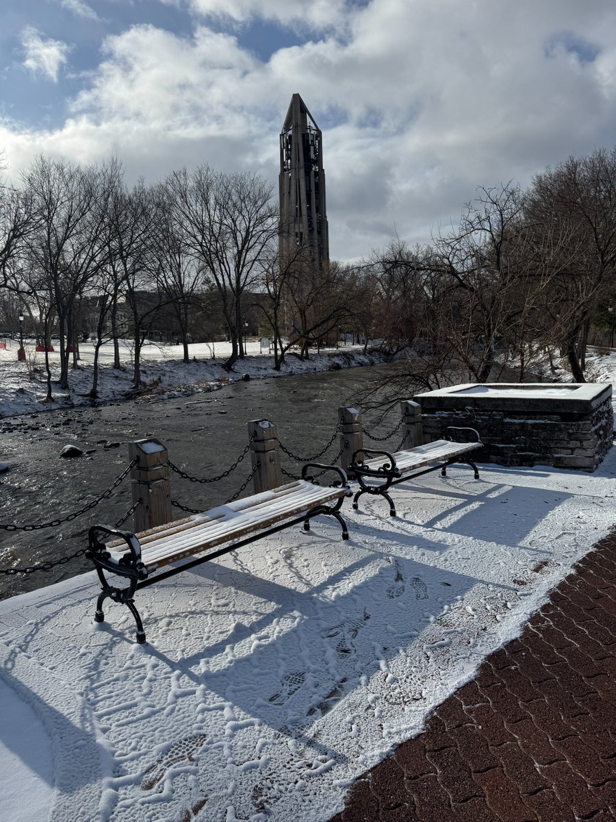 Naperville Park District tweet media