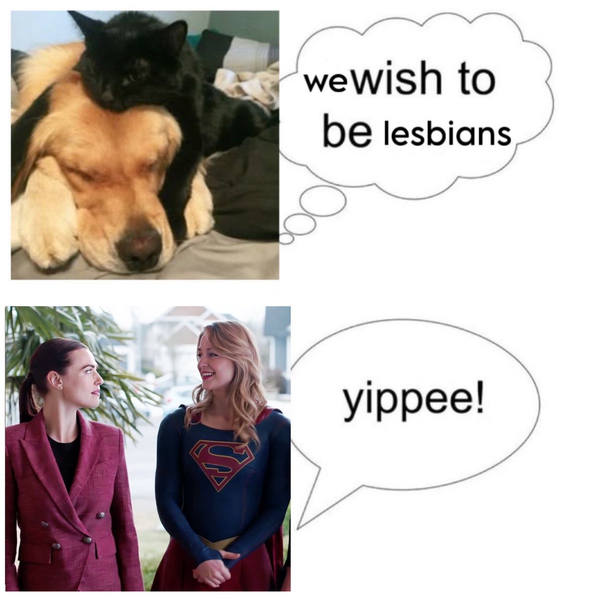 Jazz ⧗ All Along tweet media