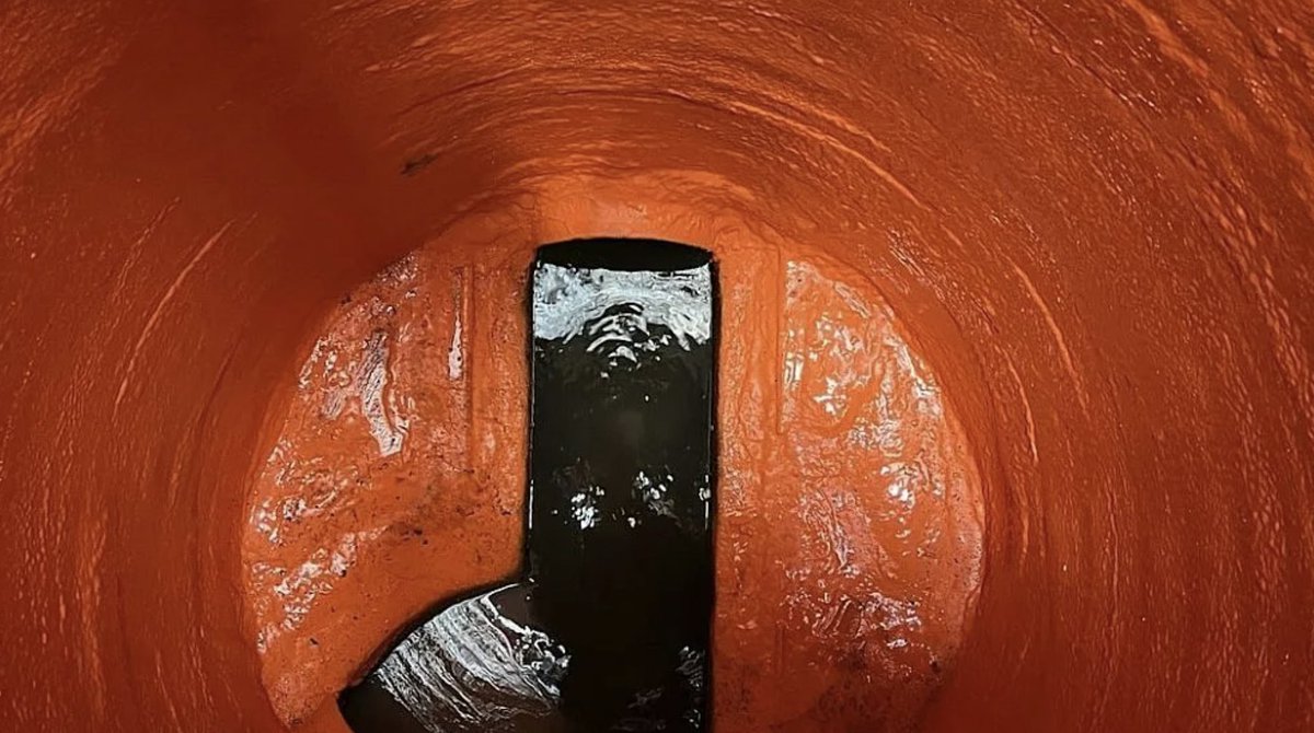 TPO Magazine tweet media