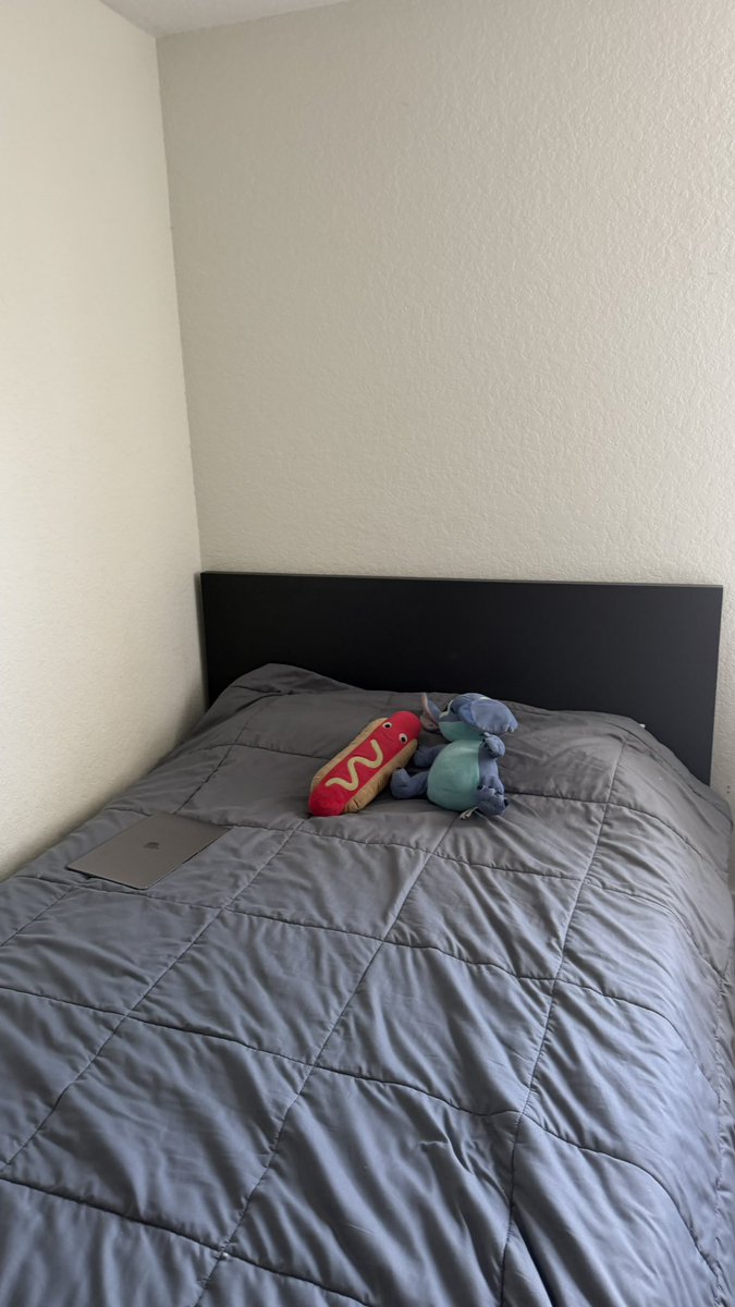 bensongumballll's tweet photo. Morning #bedmaker https://t.co/Flrw2PZE3X
