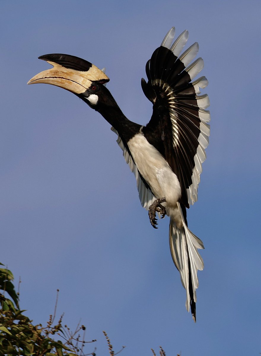 Steve Sanderson tweet media