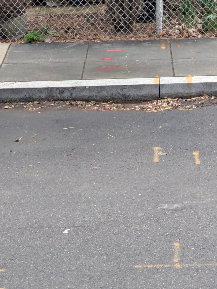 Car Problems tweet media