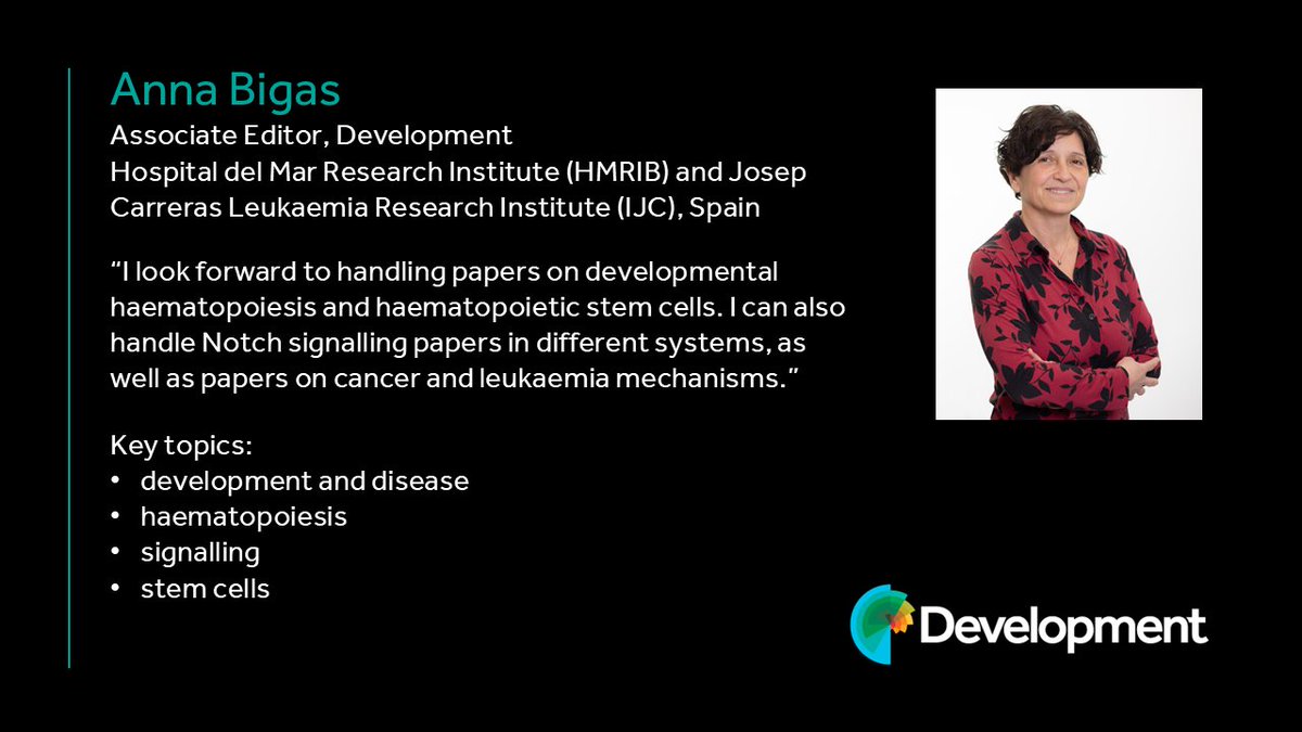 Development tweet media