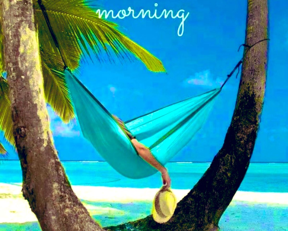 Saltlife1👠 tweet media