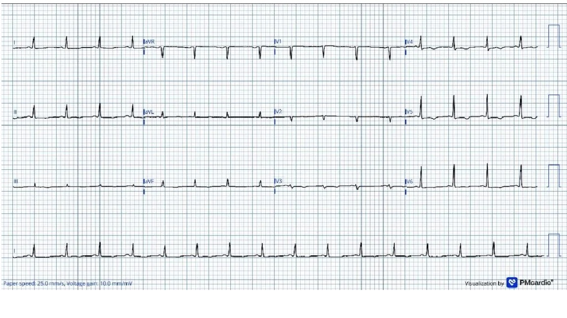 Stephen W. Smith tweet media