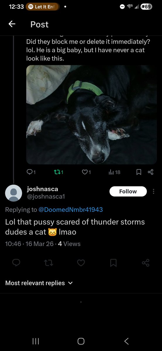 😵‍💫 No One (DOOMED) 💜 tweet media