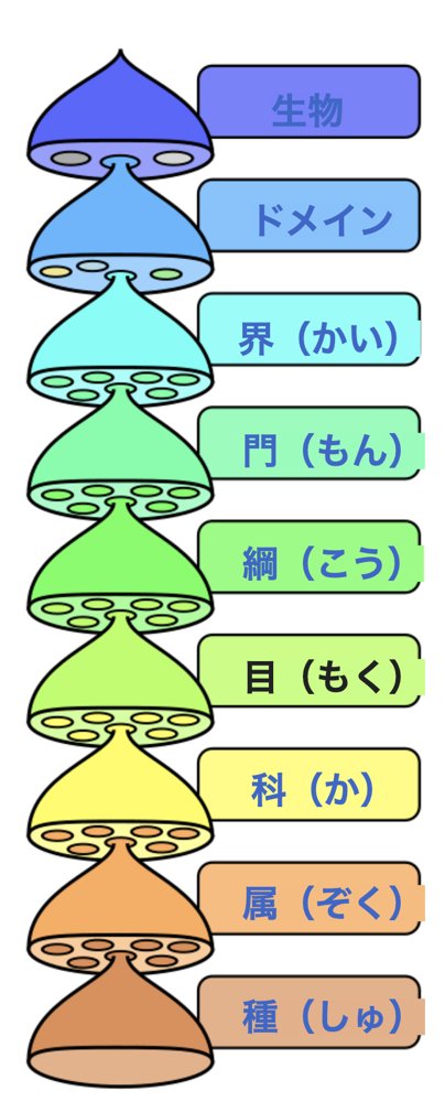 豚広場 慶🐷カラオケ100点 12ヶ月連続達成🙌 tweet media