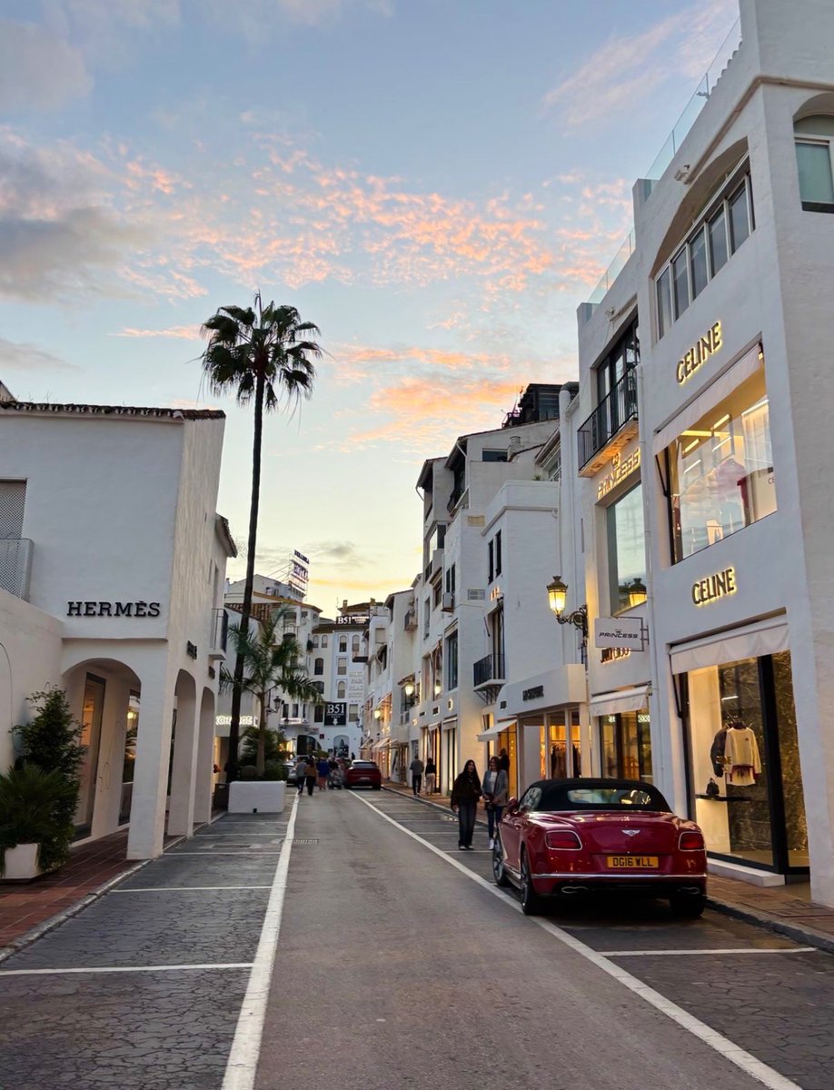 WORLD 2026 🌊 tweet media