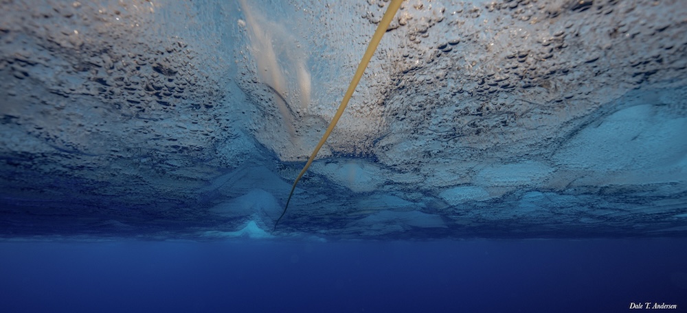 NASAWatch's tweet image. Keith's note: @DaleAndersen is back from the first of two #Astrobiology expeditions to Lake Untersee, #Antarctica in 2026. This excerpt and photo captures the awesome beauty that accompanies forays into potentially dangerous locations as we advance science via exploration. A