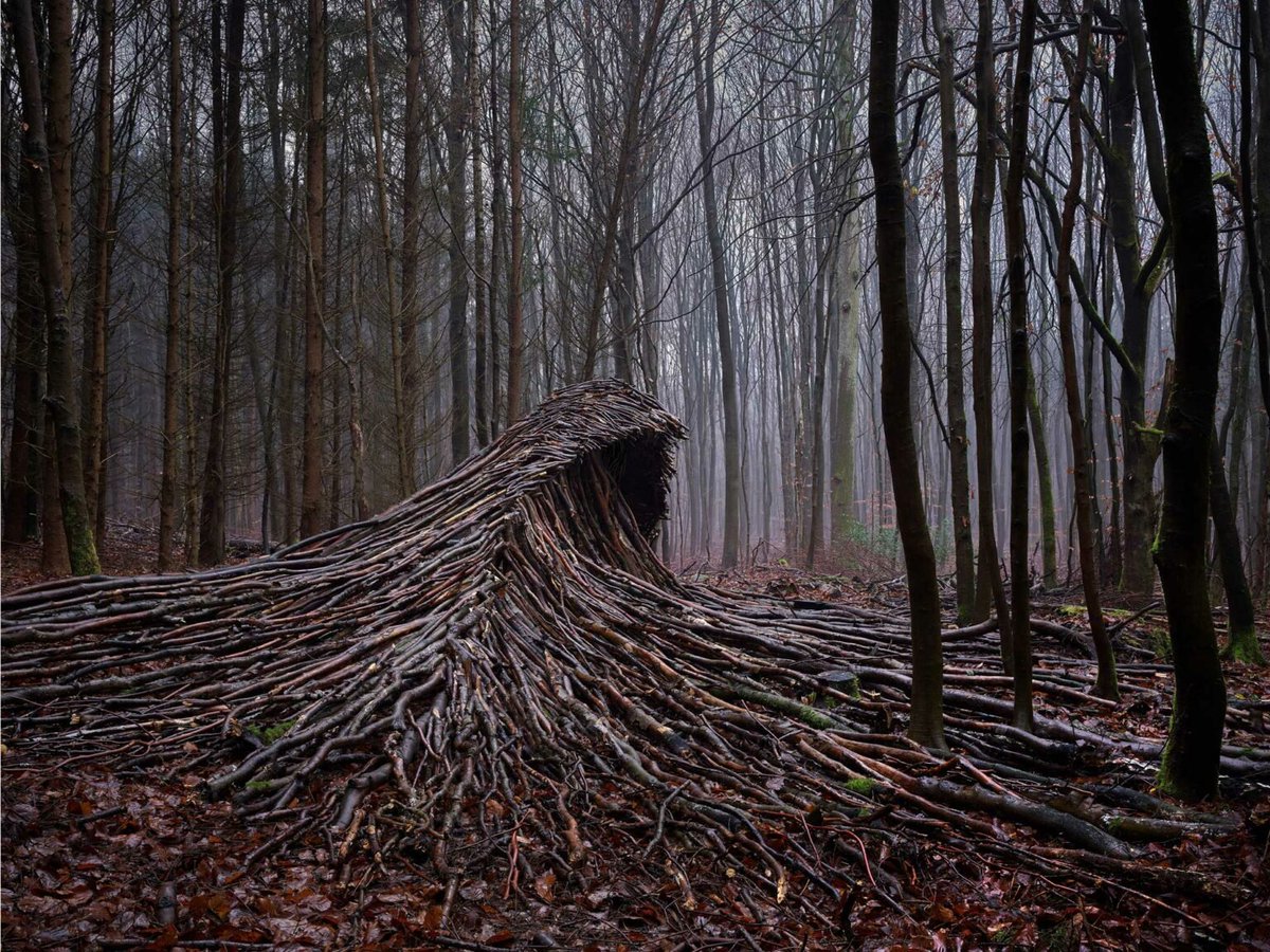 German artist Jörg Gläscher created large wave sculptures in a forest near Hamburg using only deadwood from the forest floor. He built 9–12 massive waves between November 2020 and March 2021 during the COVID-19 lockdown.