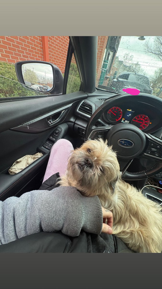 ur muva 💋 tweet media