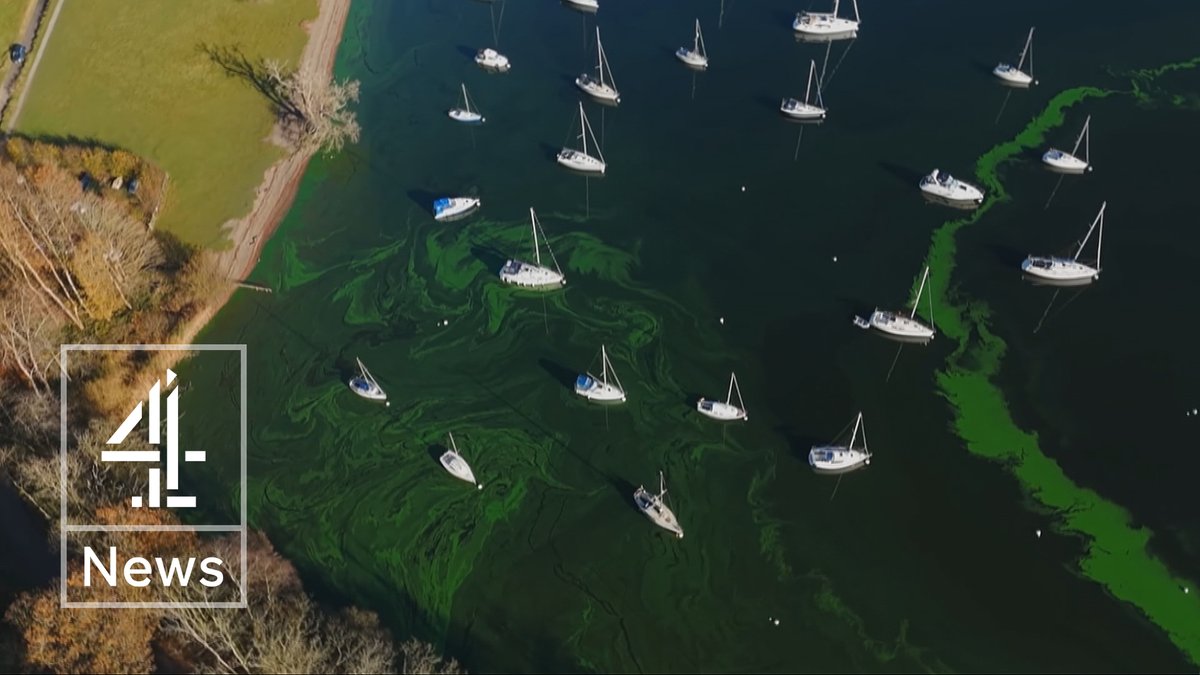 Channel 4 News tweet media