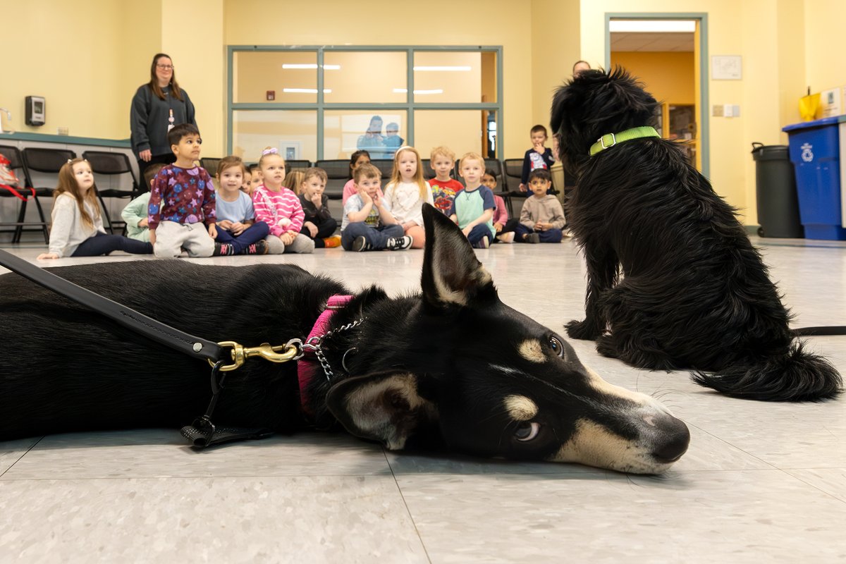 Cook County Sheriff's Office tweet media