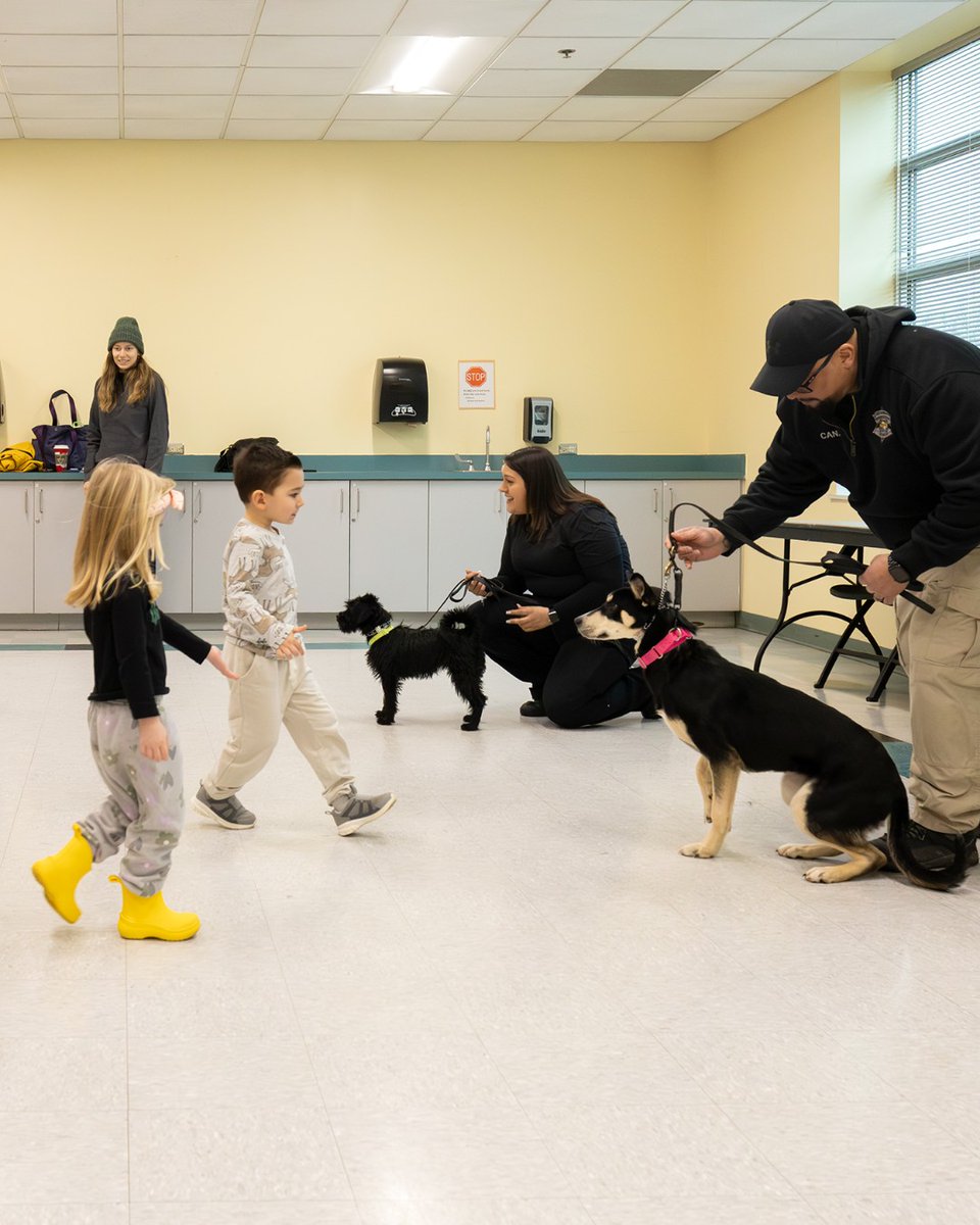 Cook County Sheriff's Office tweet media