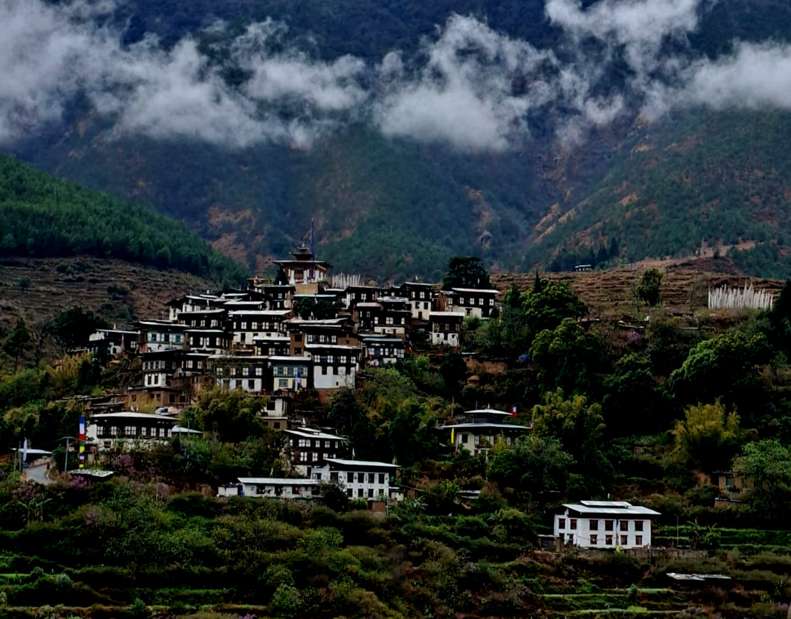 Will Ruddick tweet media