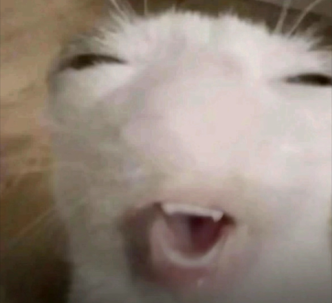 Somewhereinbetween tweet media