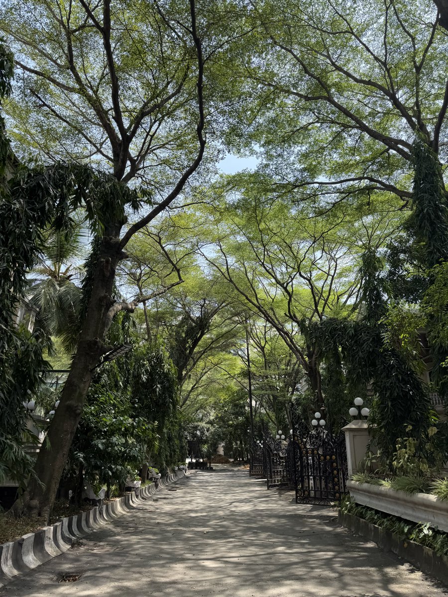 dijiaderogba's tweet photo. ~ Shot on iPhone 17 pro https://t.co/ctv2PUjdMs