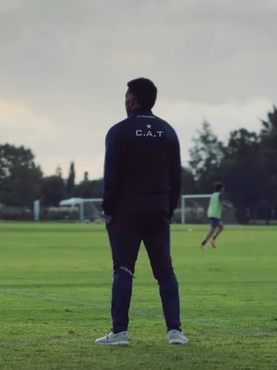 carliteando tweet media