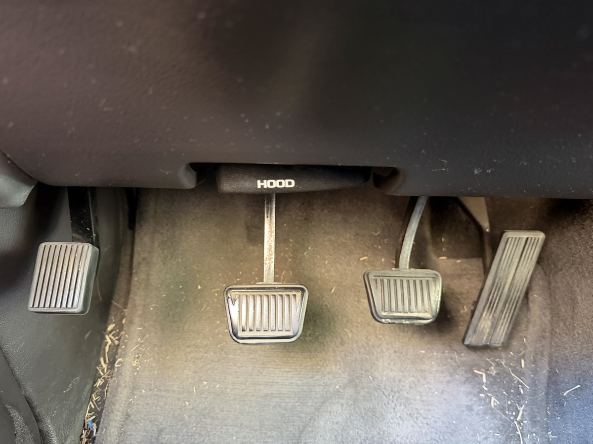 Torx 🐆⛽ tweet media