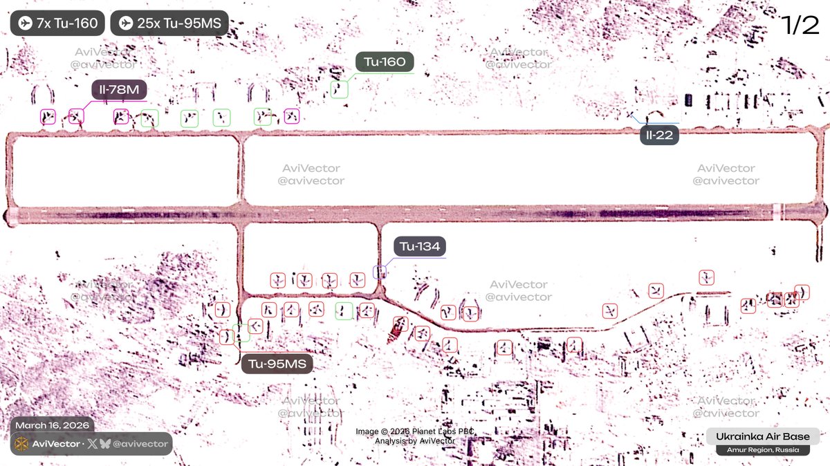 AviVector tweet media