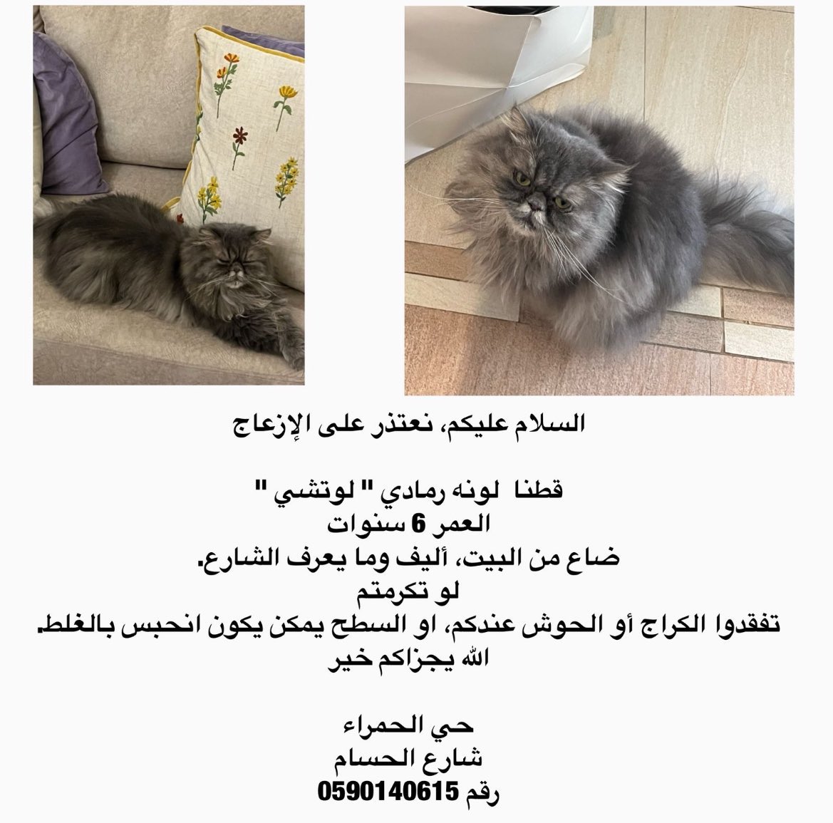 Engmanalrescuer tweet media