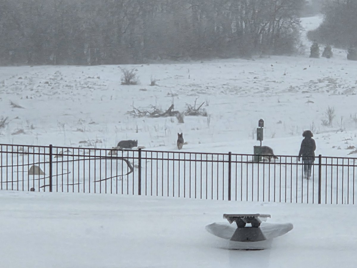 TheQuartering tweet media