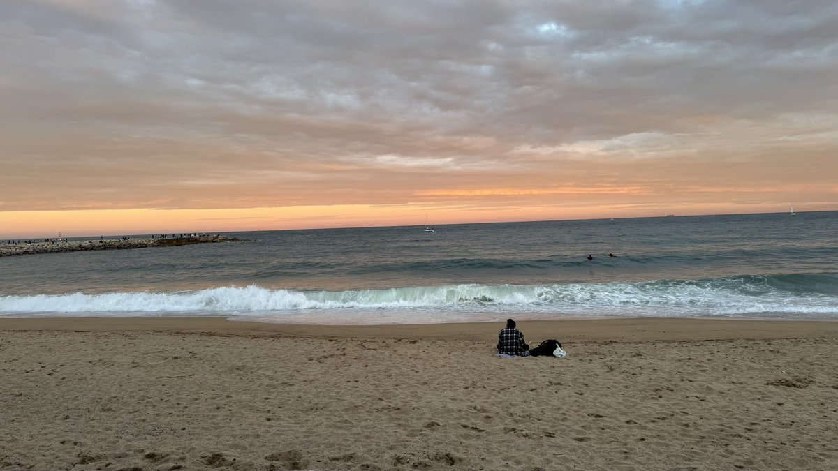 RandomGuy tweet media