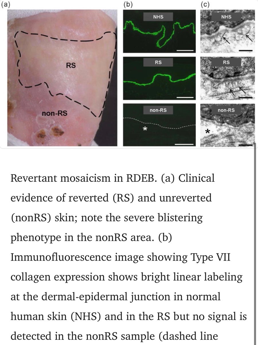 Alex Kesin tweet media