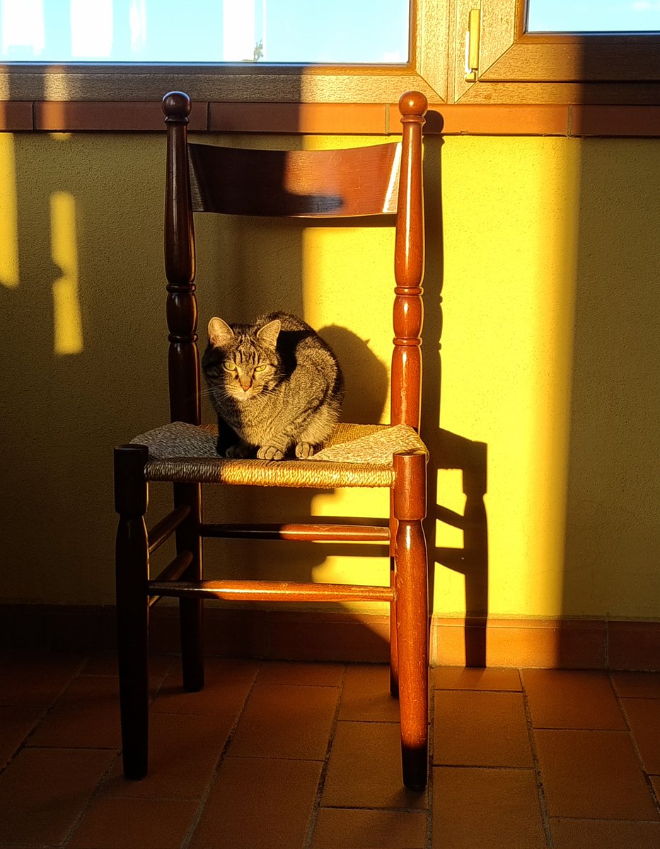 Francesca Coli tweet media