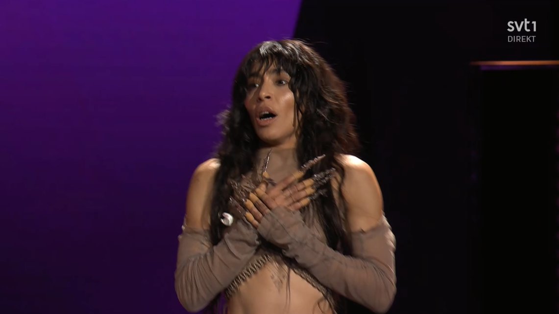 bella 🦔 tweet media