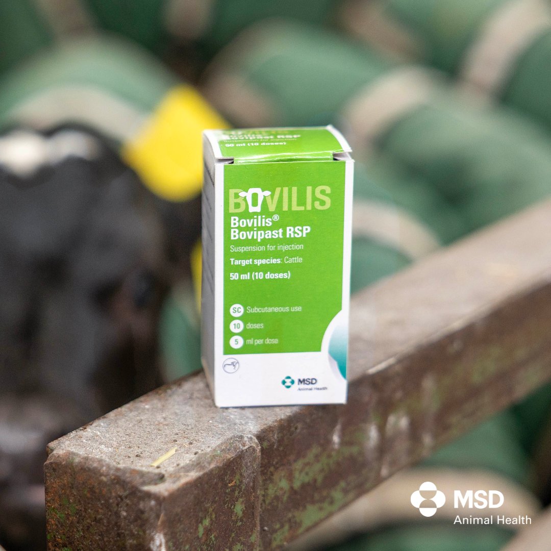 MSD Animal Health - Livestock tweet media