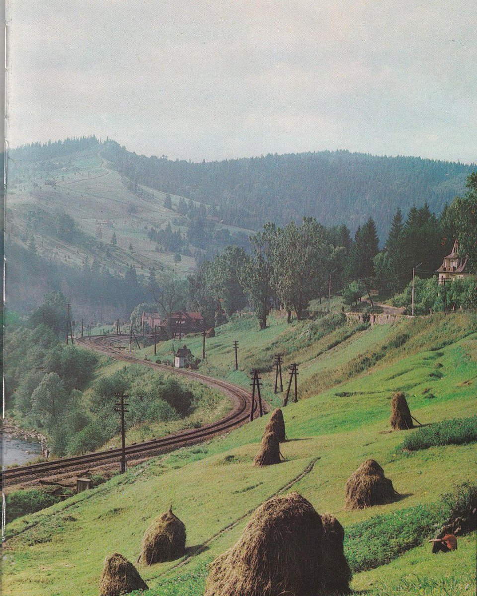 Ukrainian Visuals tweet media