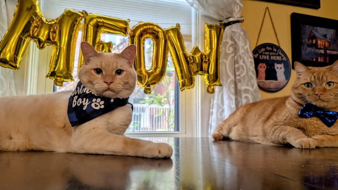 Evildeckster tweet media