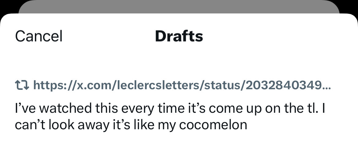 zoey⁴⁴⁸¹ tweet media